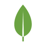 icon-leaf zaiyo ai